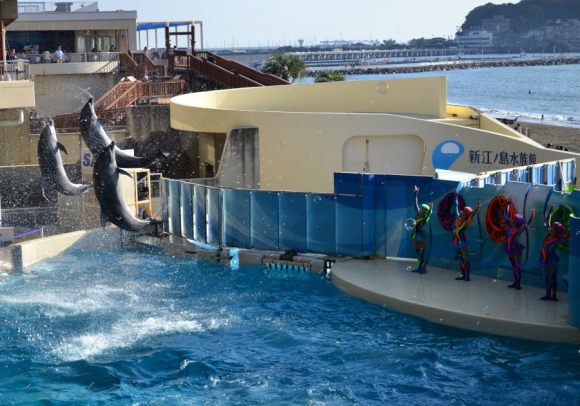 江の島水族館_e0348420_03134834.jpg