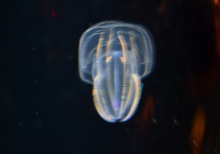 e0348420_03135032.jpg