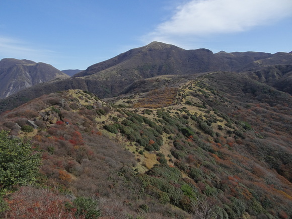 f0198620_8171795.jpg