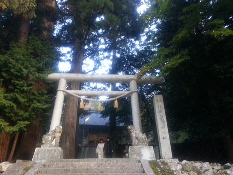 d0110022_33465.jpg
