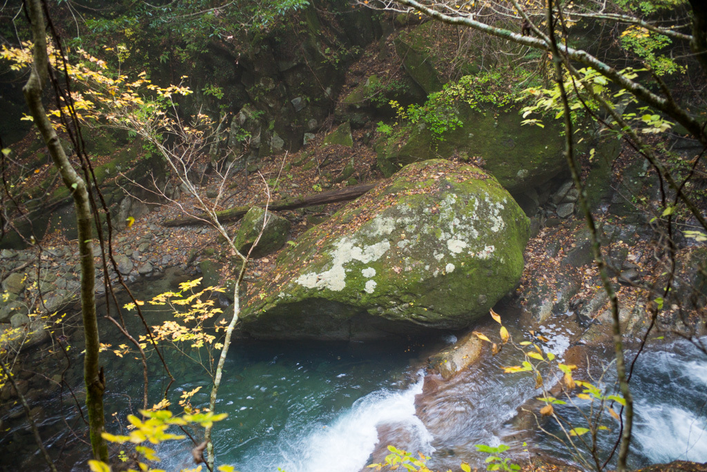 d0161322_17300906.jpg