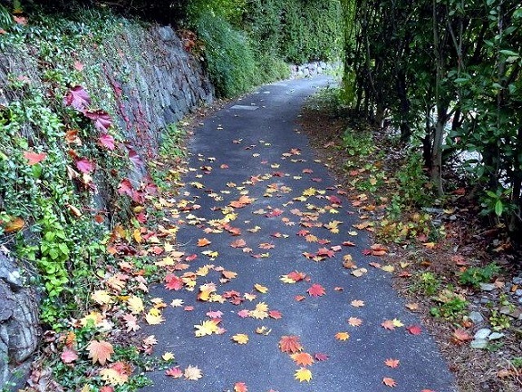 e0234924_14103392.jpg