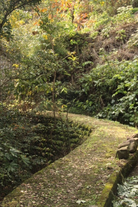 c0327528_11370960.jpg
