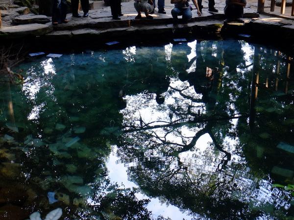 「島根・松江 八重垣神社 日本で初めて結婚式が行われた宮、鏡の池占い」_a0000029_17533418.jpg