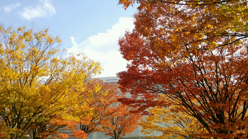 b0368629_1433294.jpg