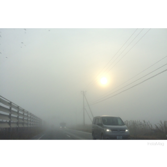 c0024729_15163557.jpg