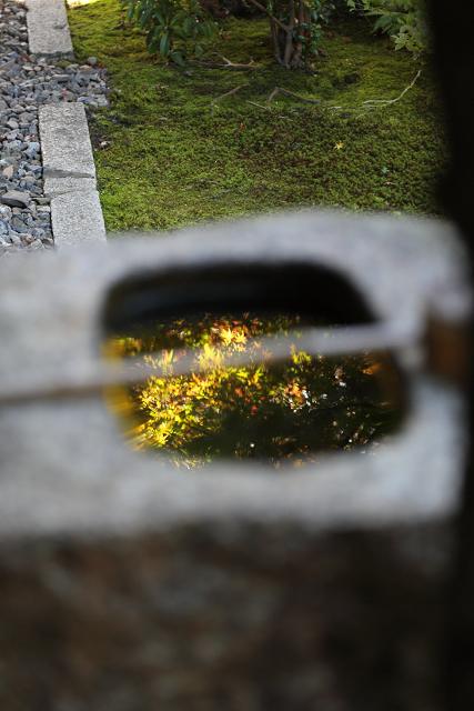 紅葉の建仁寺 －正伝永源院－_b0169330_1575394.jpg