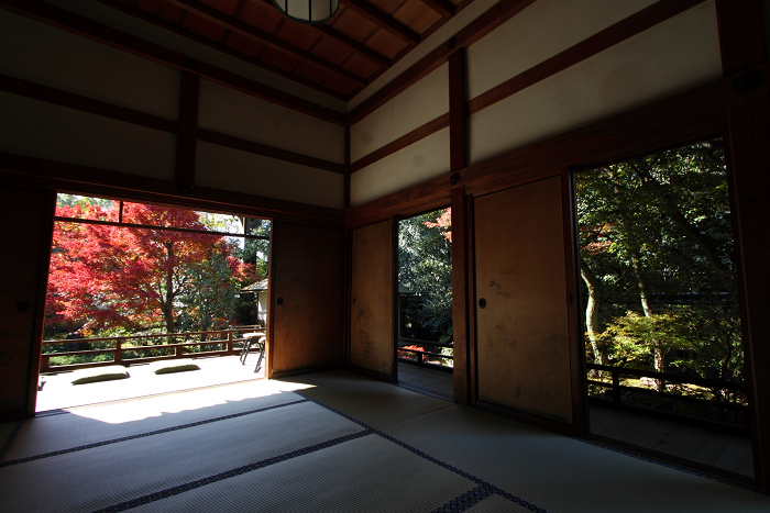 紅葉の建仁寺 －正伝永源院－_b0169330_158240.jpg