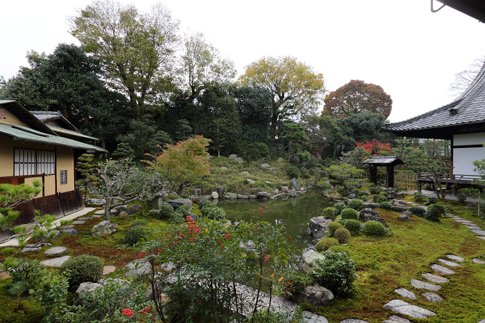 紅葉の建仁寺 －両足院－_b0169330_7382724.jpg