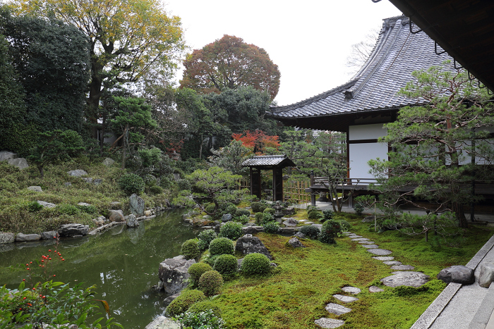 紅葉の建仁寺 －両足院－_b0169330_7383517.jpg