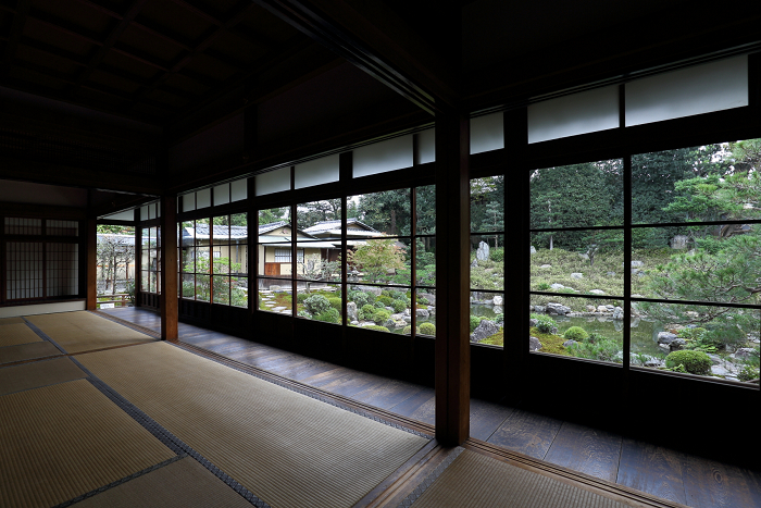 紅葉の建仁寺 －両足院－_b0169330_739519.jpg