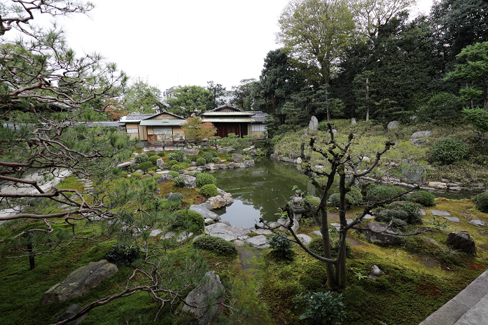 紅葉の建仁寺 －両足院－_b0169330_863212.jpg