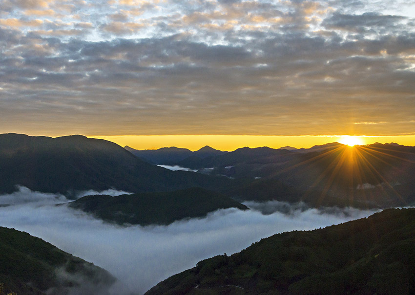 d0147530_937530.jpg