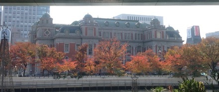 桜紅葉_a0155838_12023661.jpg