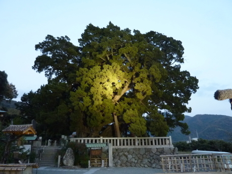 小豆島『寒霞渓』_c0218841_15062448.jpg