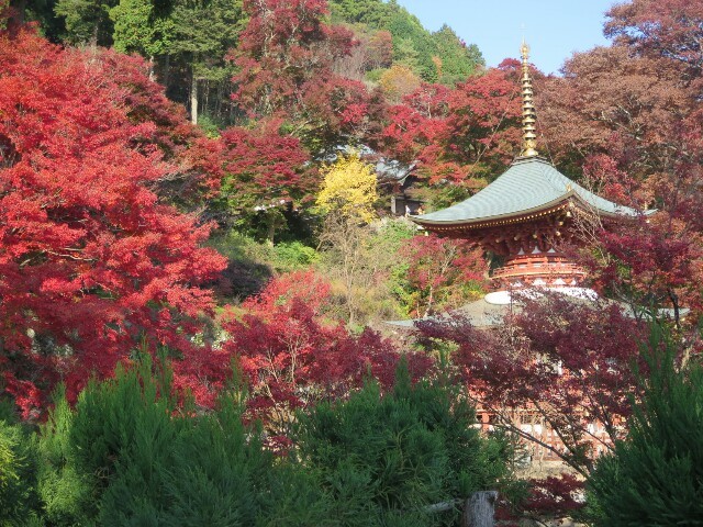c0292342_16444987.jpg
