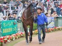 持ち馬、出資馬が好調です_c0005244_95121.jpg