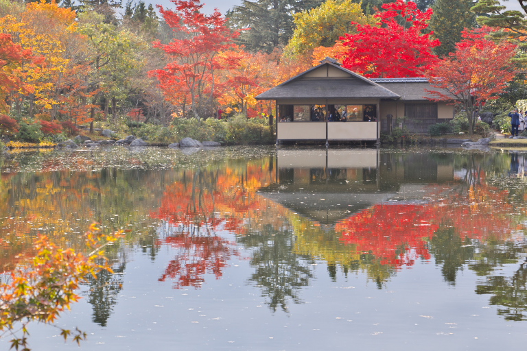 紅葉　昭和記念公園　日本庭園_d0029744_1644231.jpg