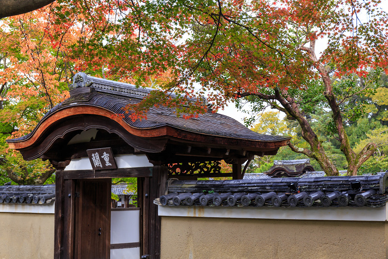 京都の紅葉2016 染まりゆく高台寺_f0155048_1812182.jpg