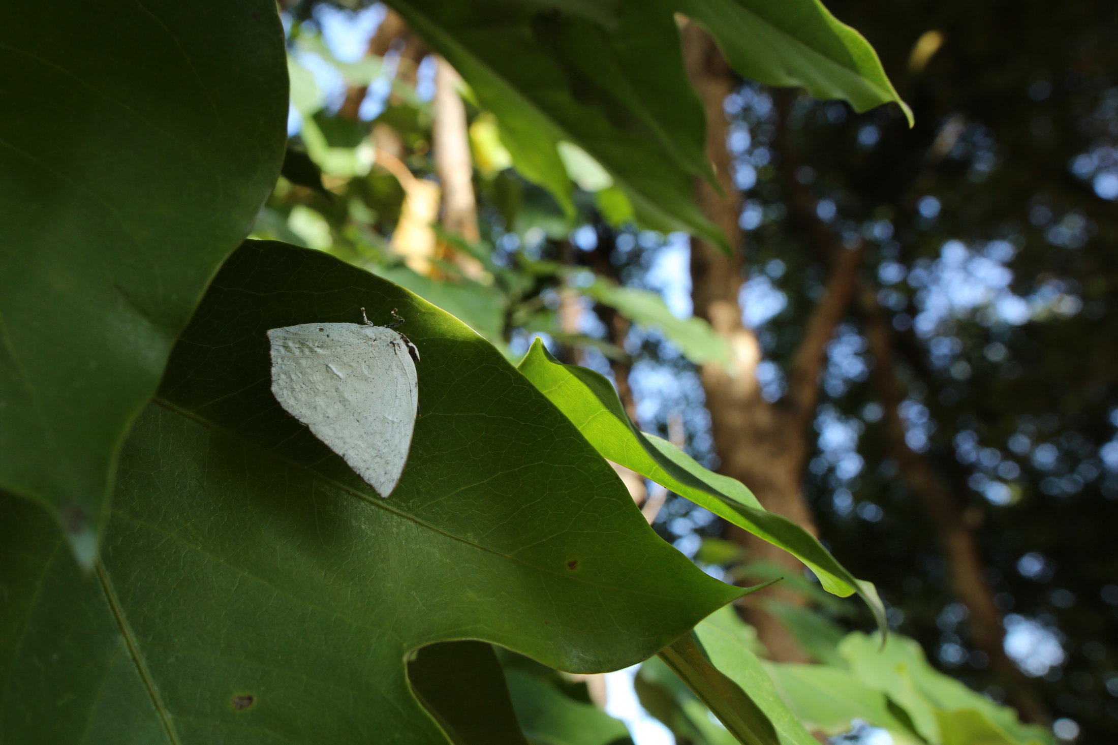 f0345350_16454617.jpg