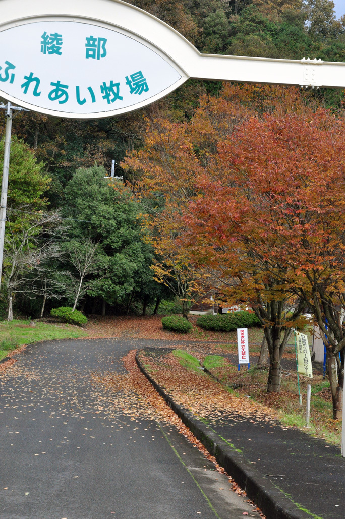 b0214652_13392428.jpg