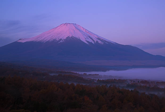 b0355457_8134215.jpg