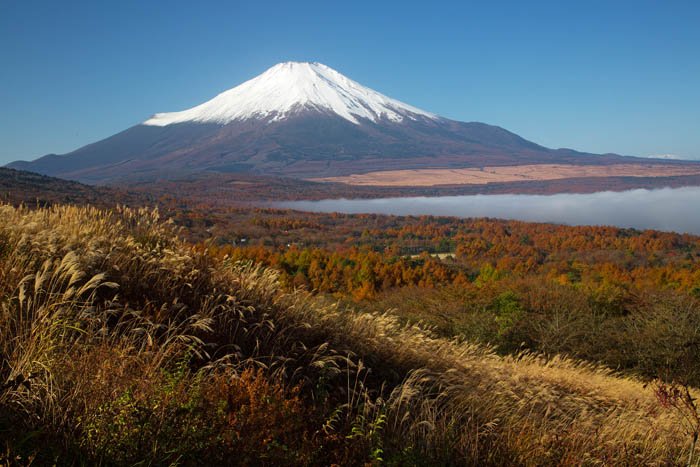 b0355457_8142897.jpg