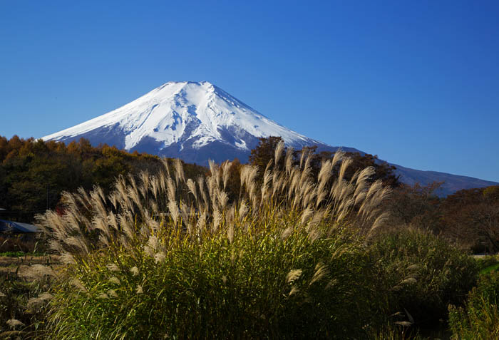 b0355457_8155466.jpg