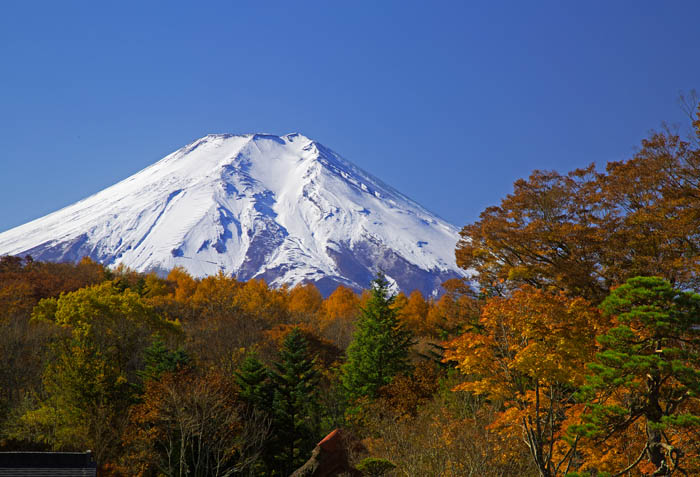 b0355457_818381.jpg
