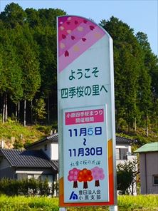 e0044657_19324939.jpg