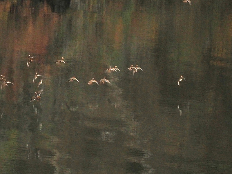 f0208666_18583167.jpg