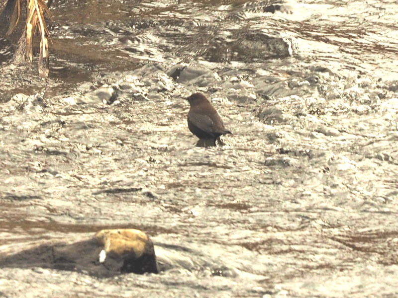 f0208666_19214939.jpg
