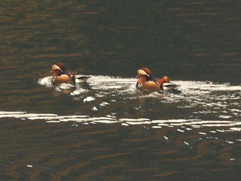 f0208666_193424.jpg