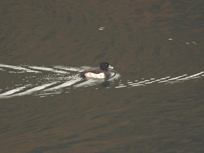 f0208666_1992981.jpg