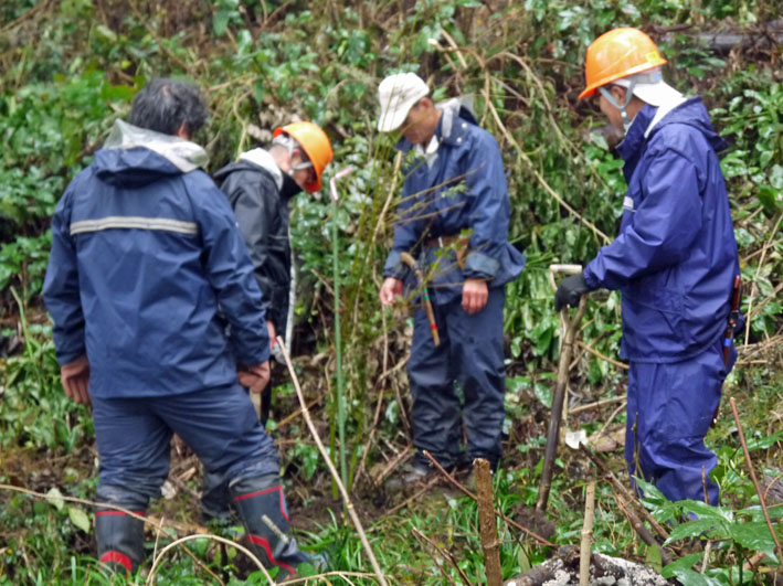 落葉樹中心に植樹本数２７３本に：11・19六国見山定例手入れ_c0014967_22375150.jpg