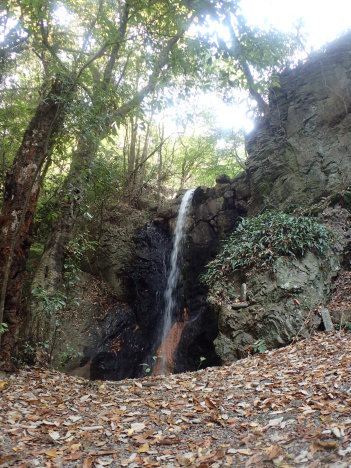 f0350468_20424229.jpg