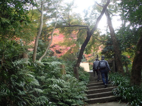 f0350468_20470297.jpg