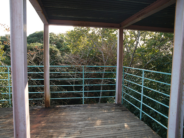 笠森観音と笠森寺自然林 その2:自然林編 (11/6)_b0006870_11412587.jpg