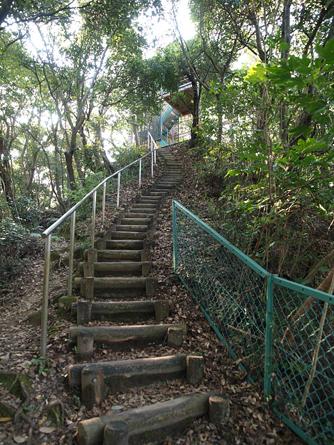 笠森観音と笠森寺自然林 その2:自然林編 (11/6)_b0006870_114151.jpg