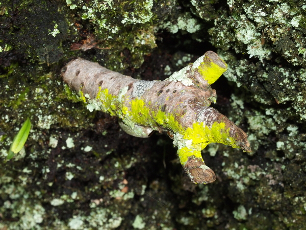 b0135573_22175034.jpg