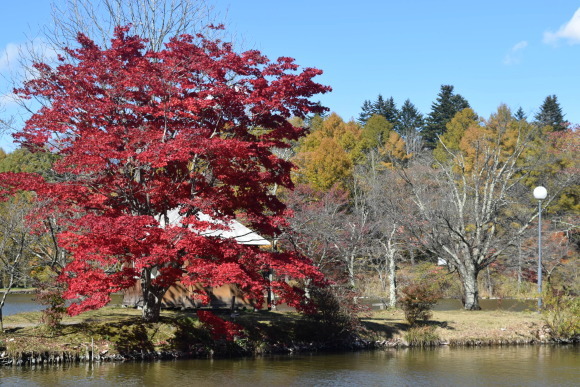 b0242873_00495366.jpg