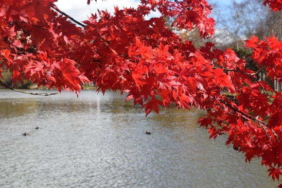 b0242873_00554175.jpg