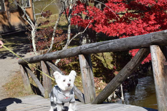 b0242873_01003844.jpg