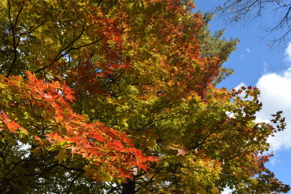 b0242873_01115482.jpg