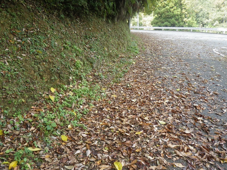 d0119688_20170091.jpg