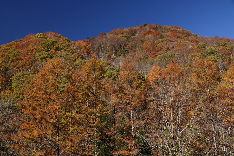 16.11.05：錦秋のせせらぎ街道４_c0007190_17294471.jpg