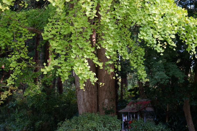 d0021491_21435879.jpg
