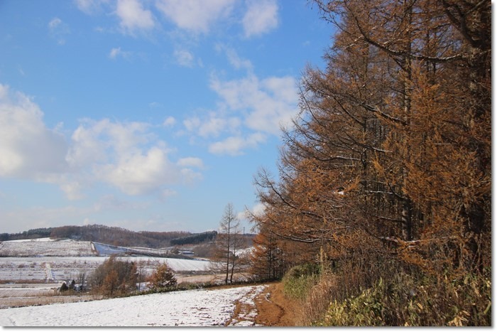 f0146493_14023757.jpg
