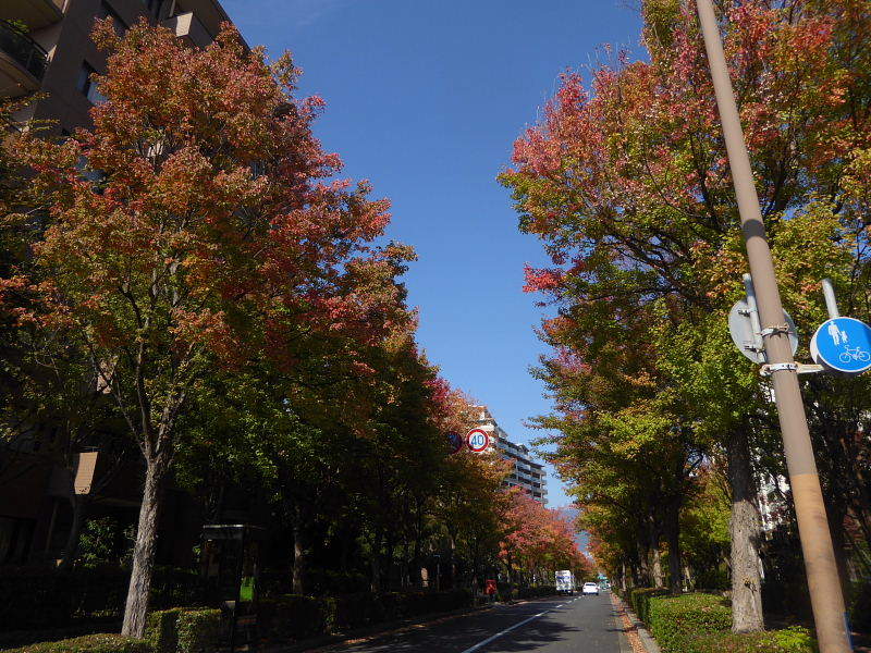 d0261298_06433268.jpg