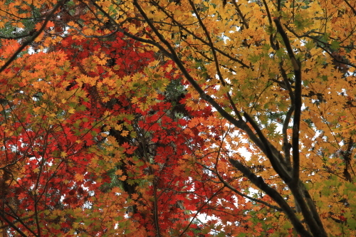 a0327600_22264188.jpg